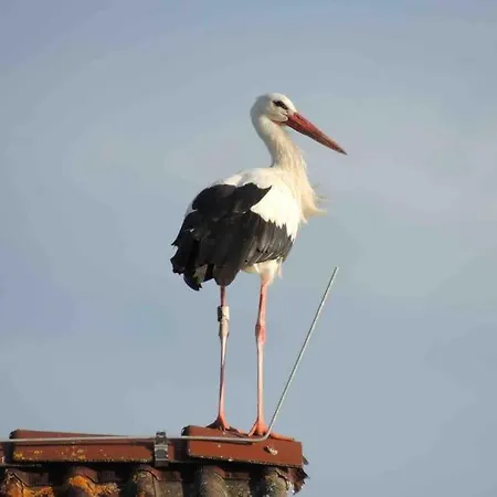 Ferienzimmer Oelhaf In Gruen Self Check-in Mit Key-tresore Wilhelmsdorf (Ravensburg)